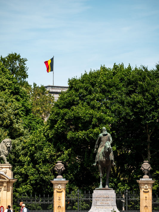 Belgium National Day party with national flag decorations, patriotic tableware, and themed party supplies