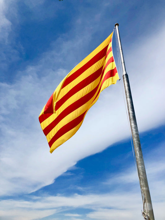 Catalonia National Day Party Ideas 2026: How to Celebrate La Diada