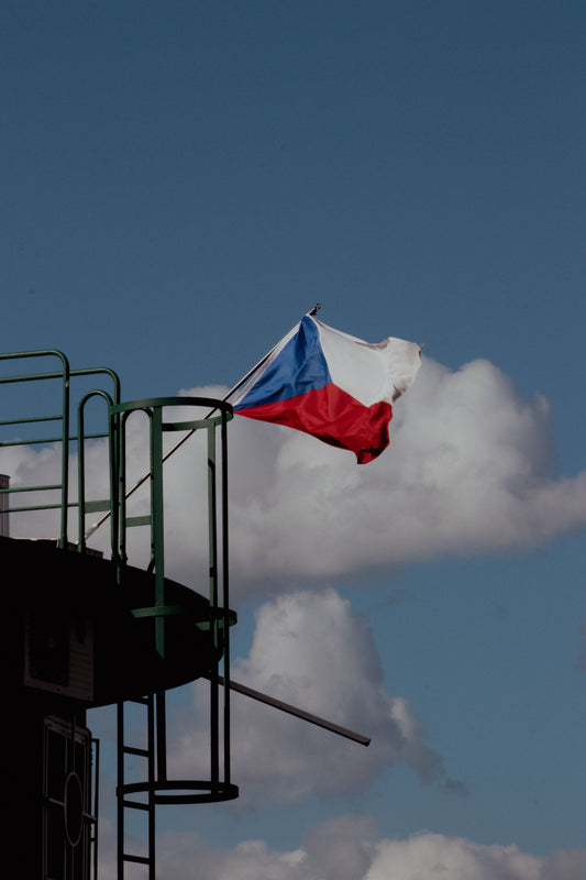 Czech Statehood Day party with national flag decorations, Czech pastries, and themed party supplies