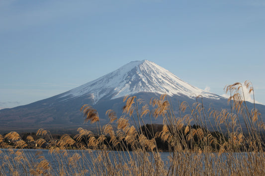 Japan Mountain Day party with national flag decorations, patriotic tableware, and themed party supplies