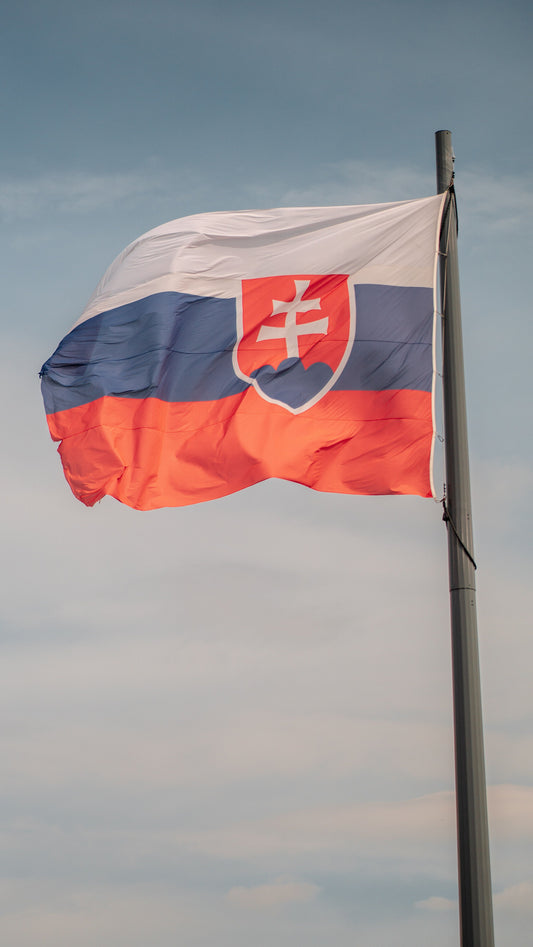 Slovakia Constitution Day party with national flag decorations, patriotic tableware, and themed party supplies