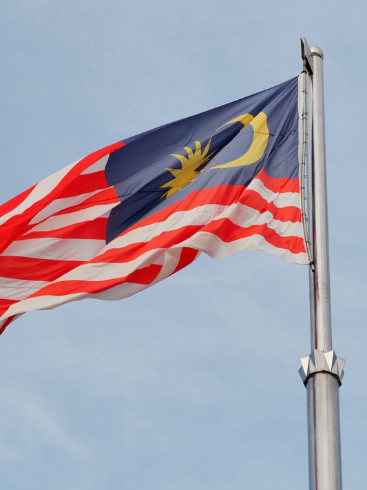 Malaysia Day party with national flag decorations, Malaysian tableware, and themed party supplies