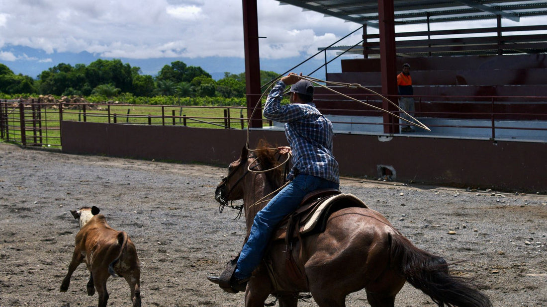 Rodeo party with western decor, boots, and rodeo party supplies