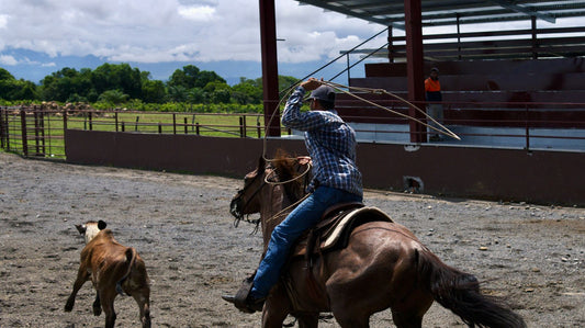 Rodeo party with western decor, boots, and rodeo party supplies