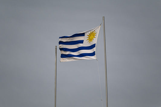 Uruguay independence day party with national flag decorations, patriotic tableware, and themed party supplies