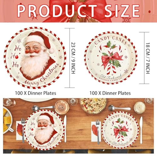 100 Pcs Santa Claus Candy Cane Party Paper Plates - Grencian