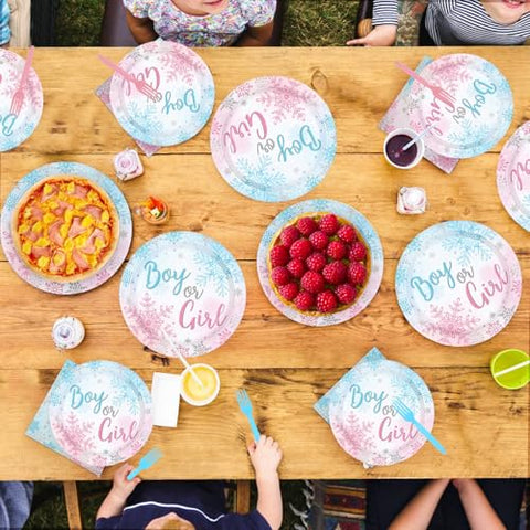 200 Pcs Winter Gender Reveal Party Plates and Napkins - Grencian