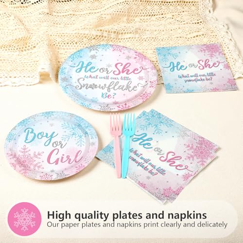 200 Pcs Winter Gender Reveal Party Plates and Napkins - Grencian