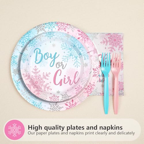 200 Pcs Winter Gender Reveal Party Plates and Napkins - Grencian