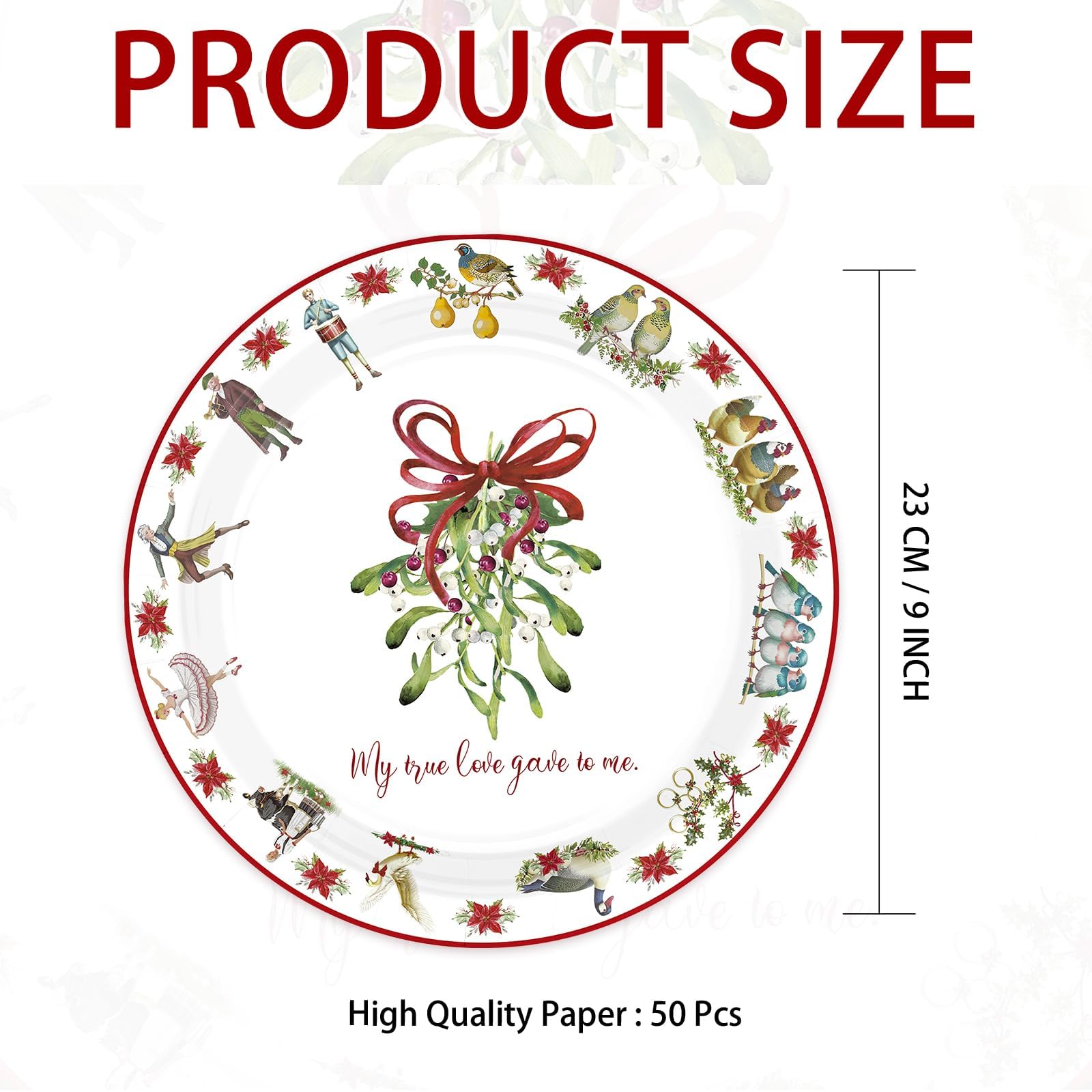 50 Pcs 10-inch 12 Days of Christmas Party Paper Plates - Grencian