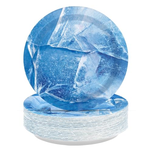50 Pcs 9-inch Winter Frozen Party Paper Plates - Grencian
