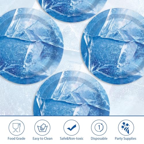 50 Pcs 9-inch Winter Frozen Party Paper Plates - Grencian