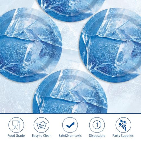 50 Pcs 9-inch Winter Frozen Party Paper Plates - Grencian