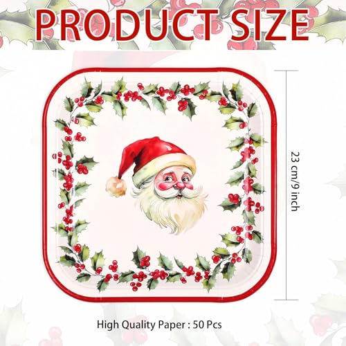 50Pcs 9 Inch Santa Claus Wreath Square Paper Plates - Grencian
