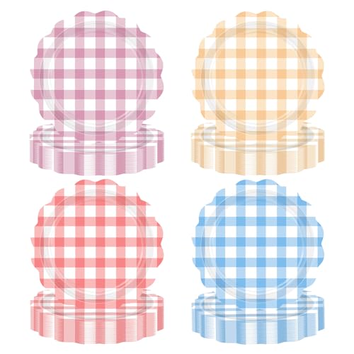 60 Pcs 9-inch Picnic Gingham Party Plates - Grencian