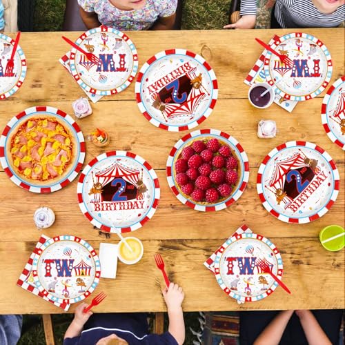 96 Pcs Carnival 2nd Birthday Party Plates and Napkins - Grencian