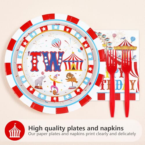 96 Pcs Carnival 2nd Birthday Party Plates and Napkins - Grencian
