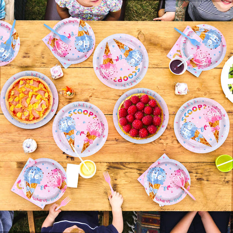 96 Pcs Ice Cream Gender Reveal Party Plates and Napkins - Grencian