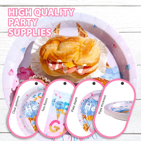 96 Pcs Ice Cream Gender Reveal Party Plates and Napkins - Grencian