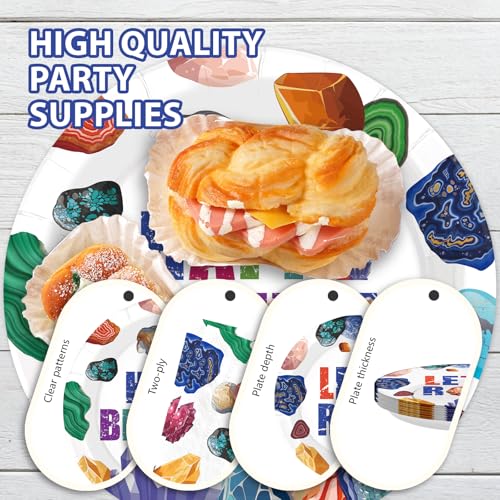 96 Pcs Rocks Geology Birthday Party Plates and Napkins - Grencian