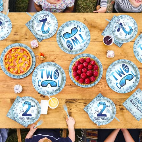 96 Pcs Winter 2nd Birthday Party Plates and Napkins - Grencian