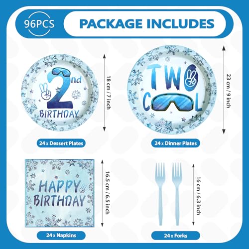 96 Pcs Winter 2nd Birthday Party Plates and Napkins - Grencian