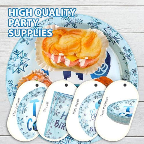 96 Pcs Winter 2nd Birthday Party Plates and Napkins - Grencian