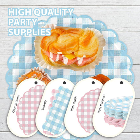 350Pcs Pink Blue Gingham Party Supplies Serves 50 - Grencian