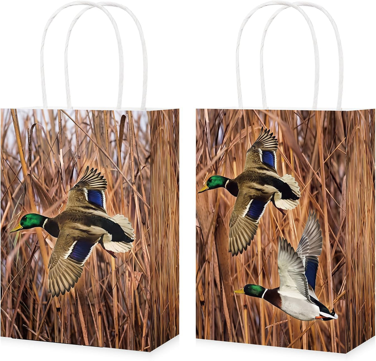 Mallard duck hunting goodie bags wildlife