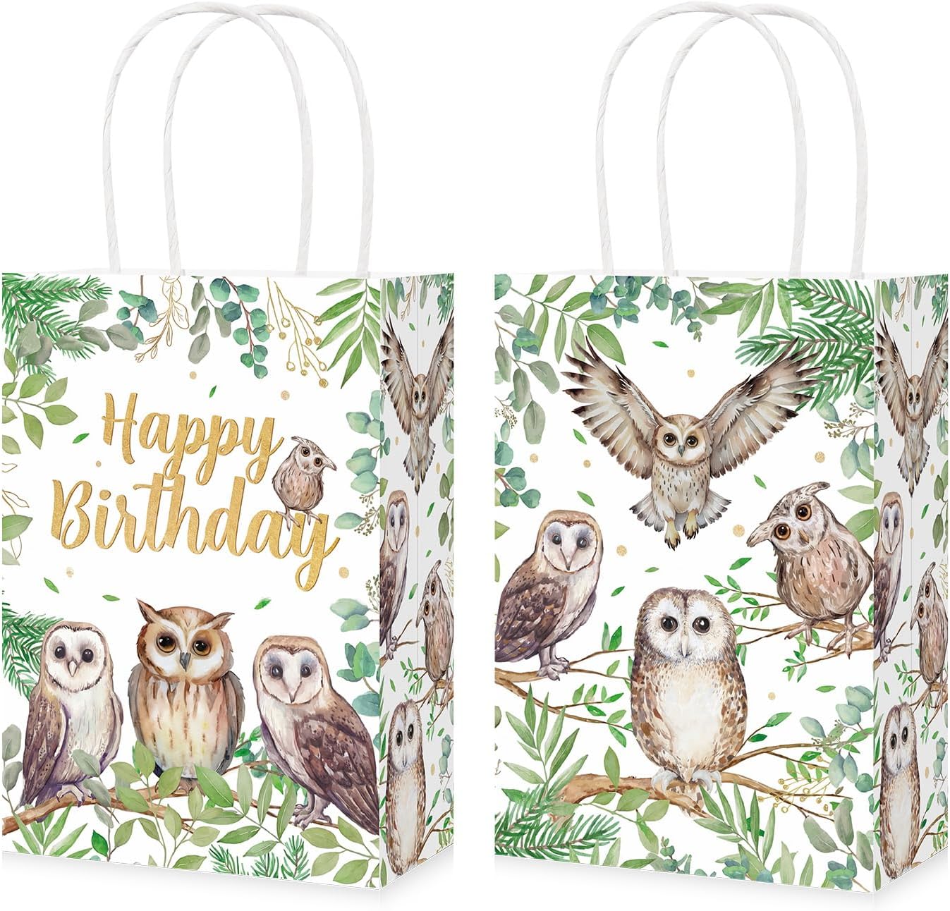 16 Pcs Owl Birthday Party Goodie Bags - Grencian